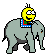 :::elefant